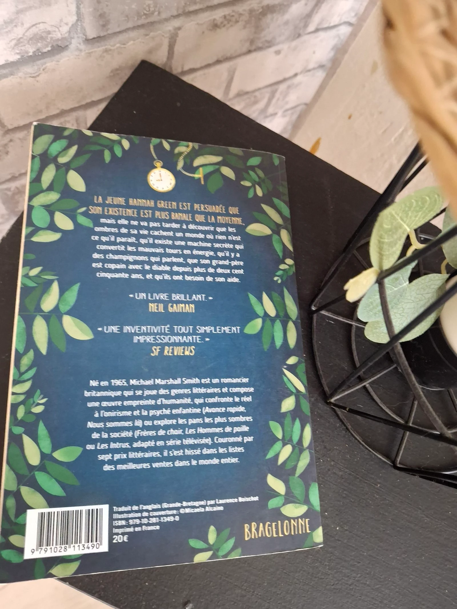 Roman The Very Ordinary Life of Hannah Green Michael Marshall Smith – photo 3